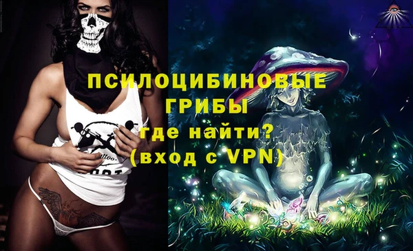 Альфа ПВП Армянск