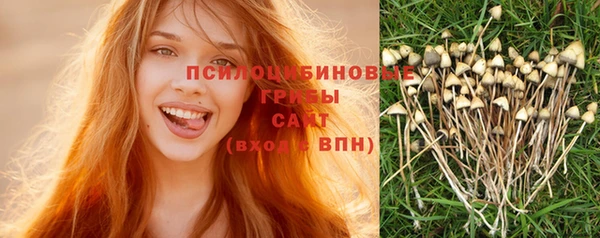 Альфа ПВП Армянск