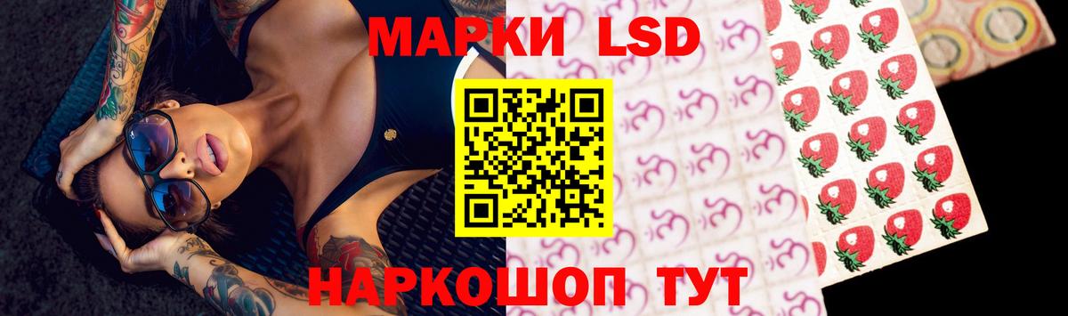 Баксан  LSD-25 экстази кислота  Вход с VPN 
