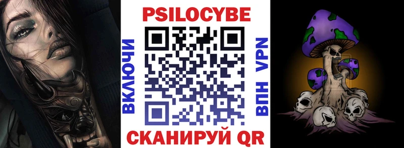 Псилоцибиновые грибы Psilocybe  наркотики  Баксан 