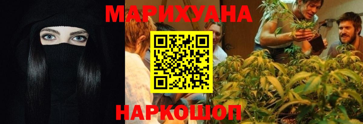 Канабис конопля Баксан